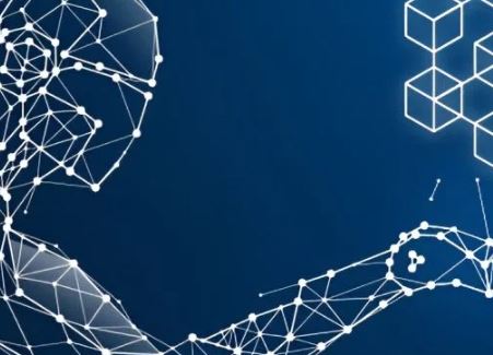 如何在TP钱包中查找交易哈希值